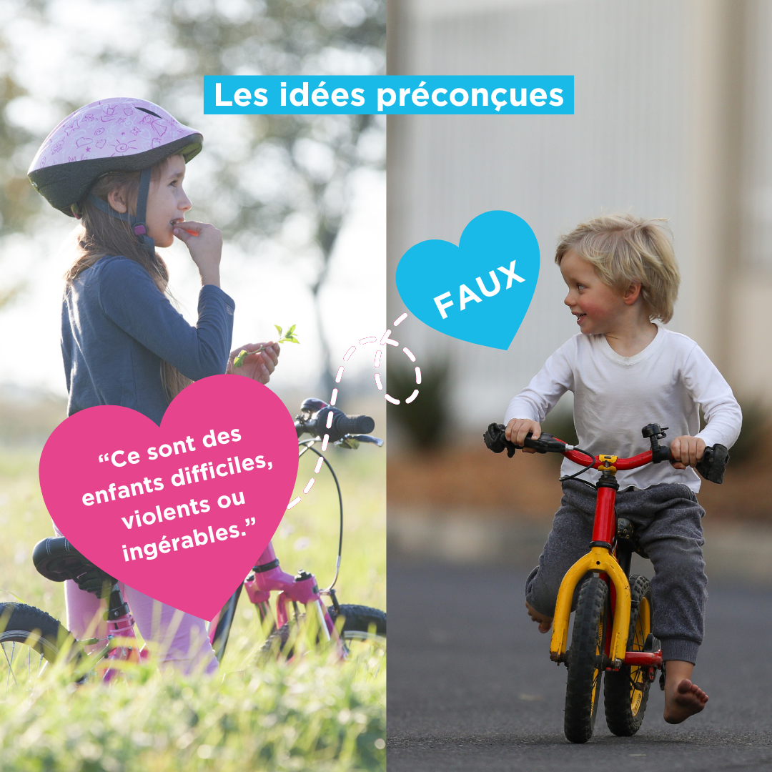 Les idées préconçues